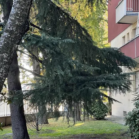 Red Fruit Wifi Gigabit Fiera Rho Mico * Milano